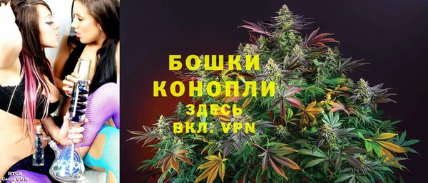 a pvp Новозыбков