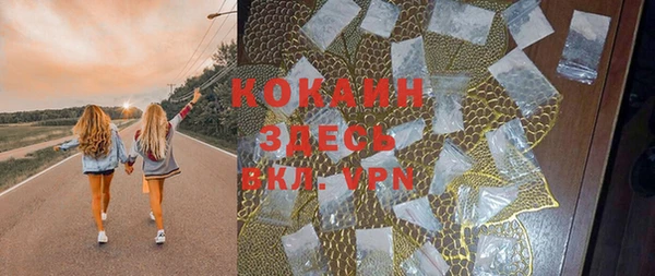 a pvp Новозыбков
