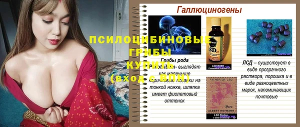 a pvp Новозыбков