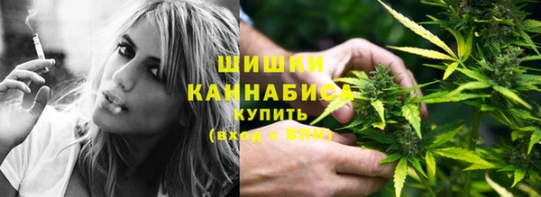 a pvp Новозыбков